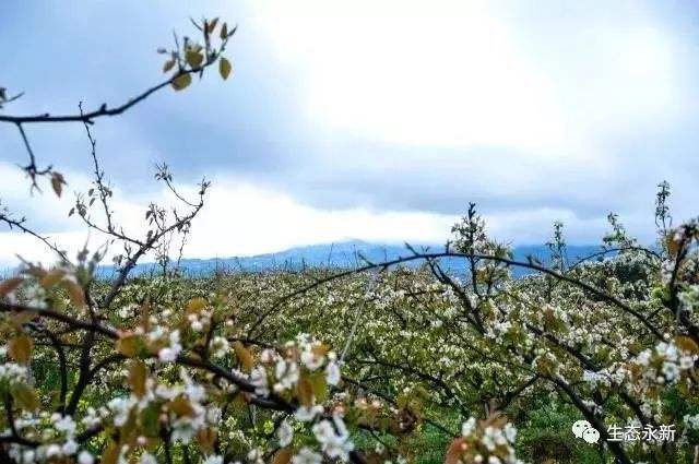 綦江区哪些地方好玩,綦江自然美景在哪里看啊
