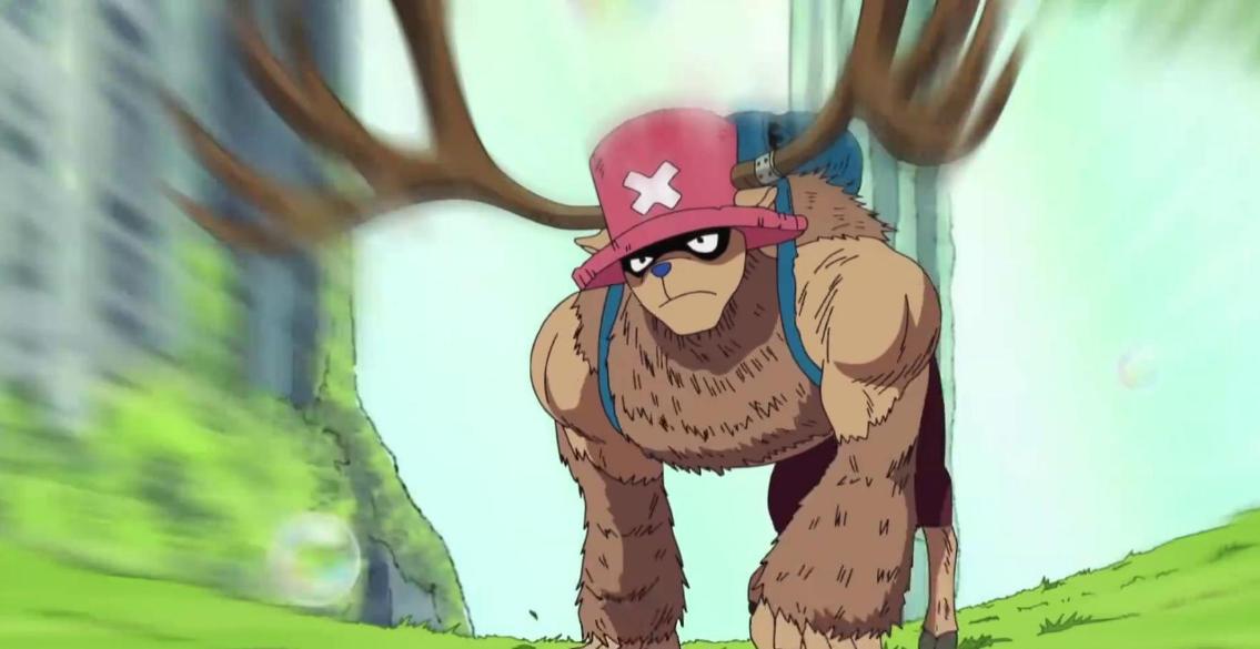 海贼王十大动物实力排名,海贼王各个人物代表的动物