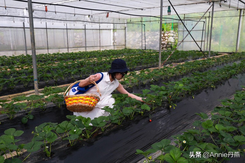 距离重庆最近的避暑城市,离主城近的夏日重庆避暑圣地