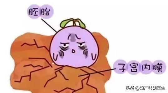 拿什么拯救我的女人,拿什么拯救我的子宫腺肌症