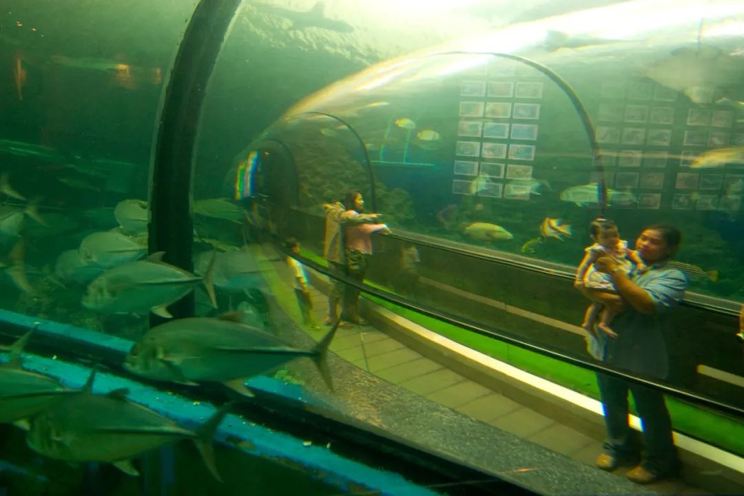 值得去的海岛城市 (更值得去的海岛)