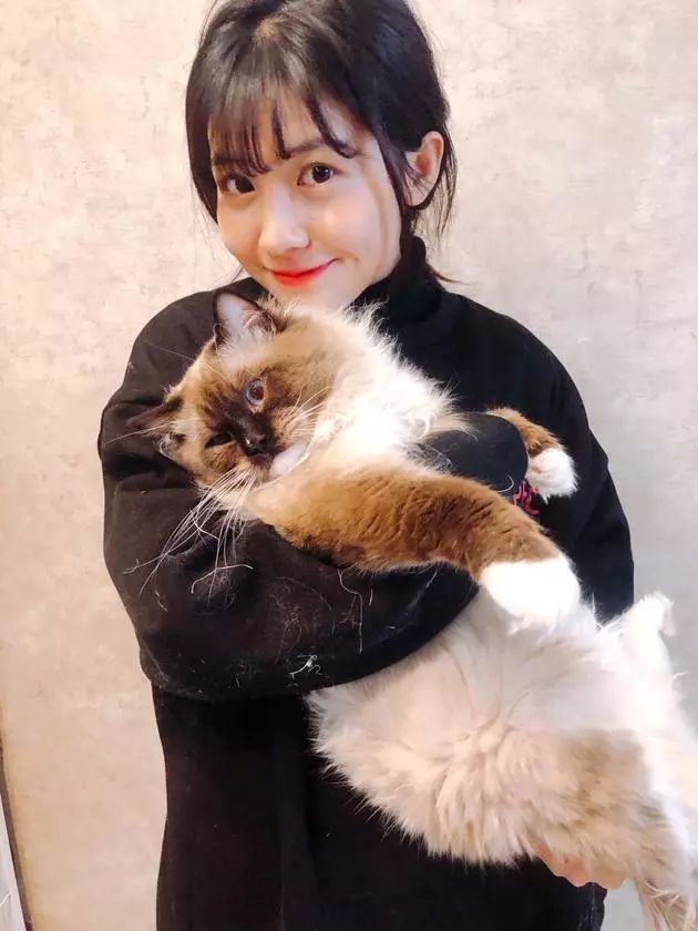 范玮琪潘玮柏送别高以翔,王力宏潘玮柏高以翔