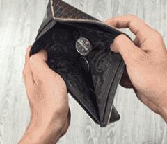 杨树林2019圣诞限定,2022年圣诞限定杨树林