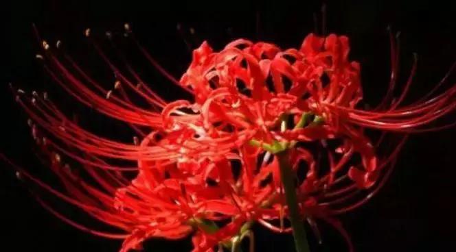 缺钱的症状和危害,缺钱真的很可怕