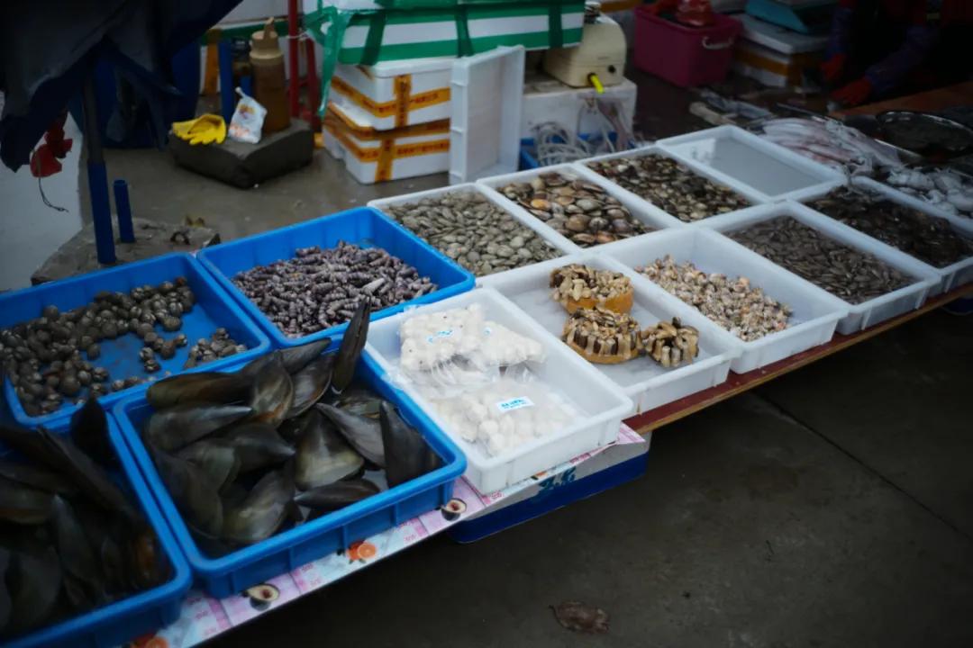 海南最大的渔港码头,在海南岛最霸气的渔港码头