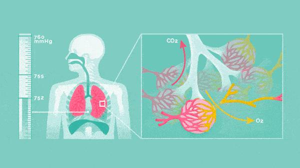 慢阻肺注意事项800字,慢阻肺患者平时注意这4点
