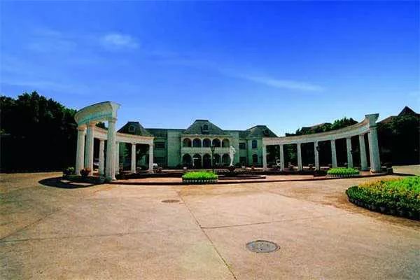 卖白米糕亿万丈夫被妻子害死,卖白糕成亿万富翁