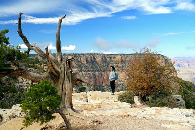 鍖楃編鏋儏闃虫柊,鍖楃編鏋儏鍥剧墖