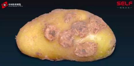 塑料大概多少年才能在自然界降解,塑料究竟可以降解吗