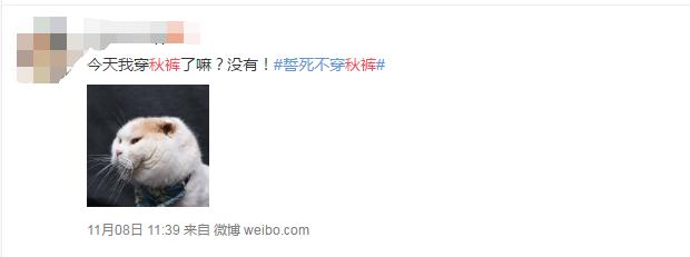 美帝网友被中国秋裤折腰网友表示：仿佛看到了自己……