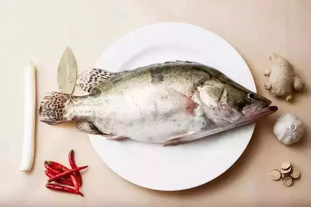 住莫干山酒店,莫干山温泉私汤民宿推荐