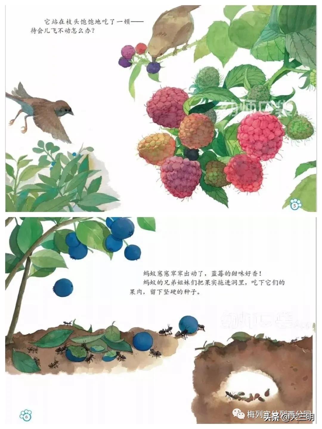 「家园齐心共战疫情」梅列实幼列西分园亲子“爱•悦课堂”中班（第四期）