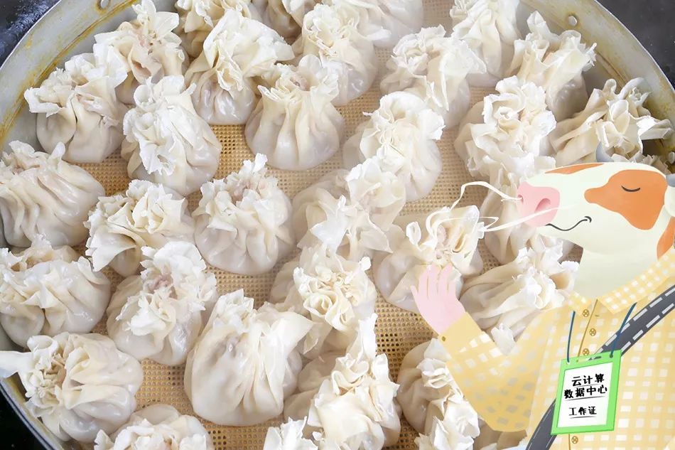 呼和浩特奶萌兽：足球摔跤样样行，体育课代表非他莫属丨Mr.Data