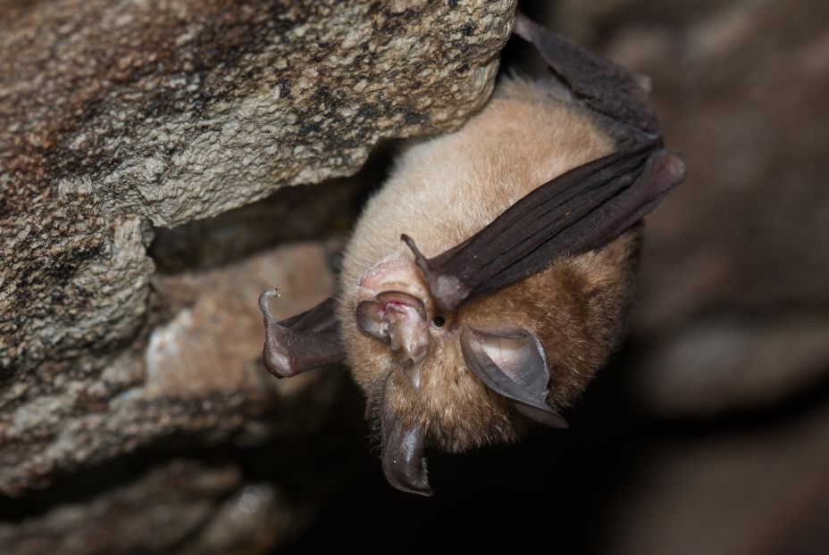 丽水白云山最新视频,丽水莲都区白云山公园山洞