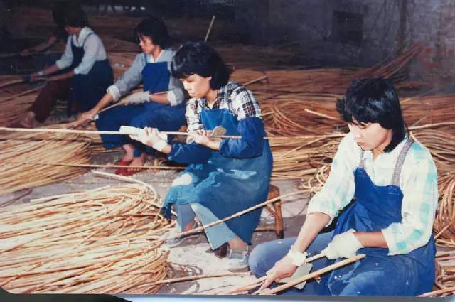 藤编佛山南海区,广东佛山南海藤编