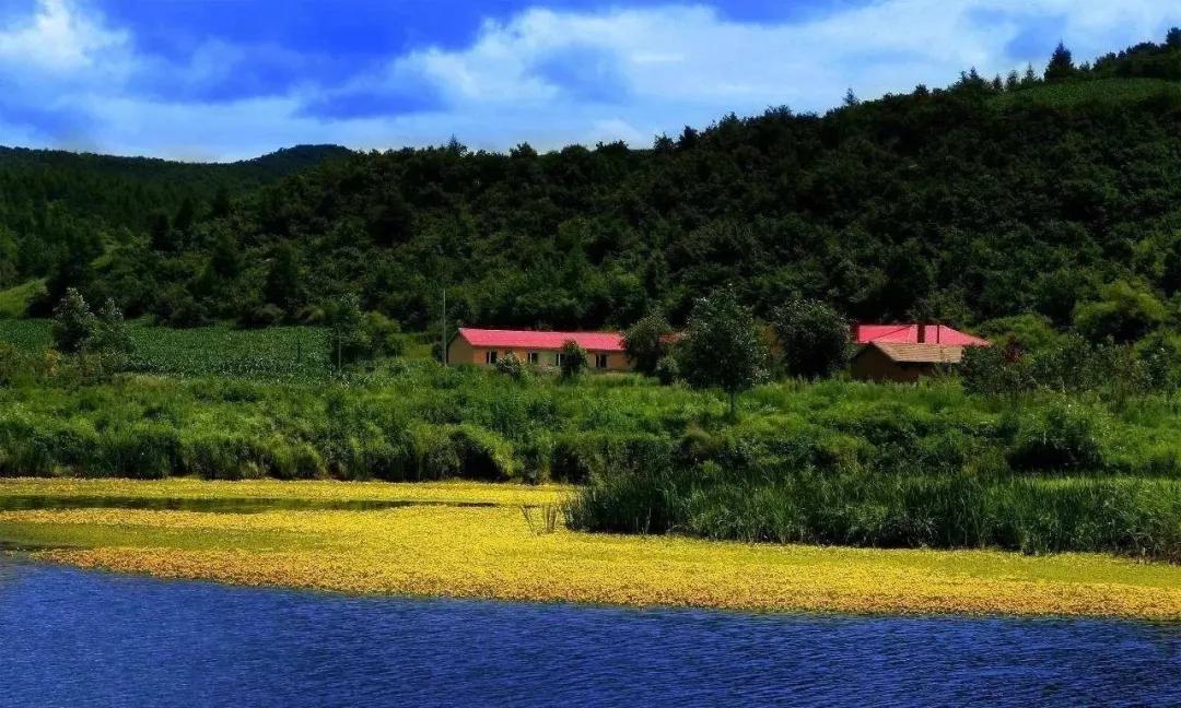 珲春一日游朝鲜,珲春朝鲜一日游攻略