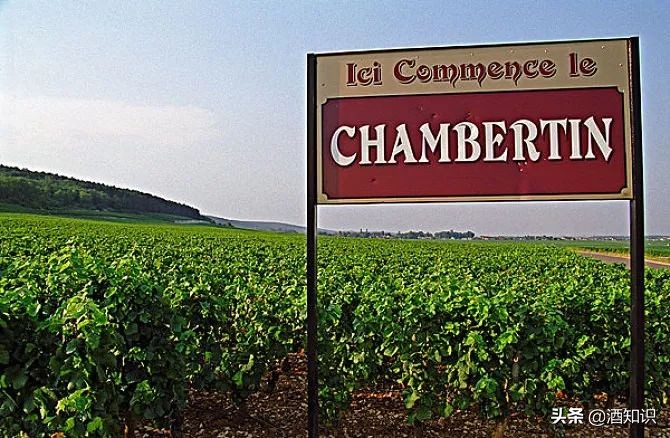 法国红酒酒标大全图片,法国葡萄酒酒标怎么看