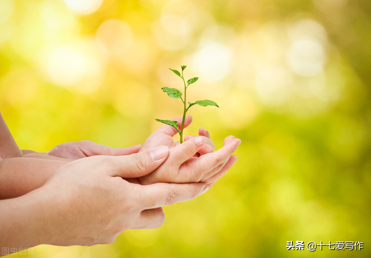 《一念光明》|一份送给抑郁症患者的自救指南