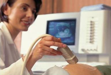 生活在宫腔“小黑屋”里，宝宝们每天都干嘛？看完感觉有点可爱