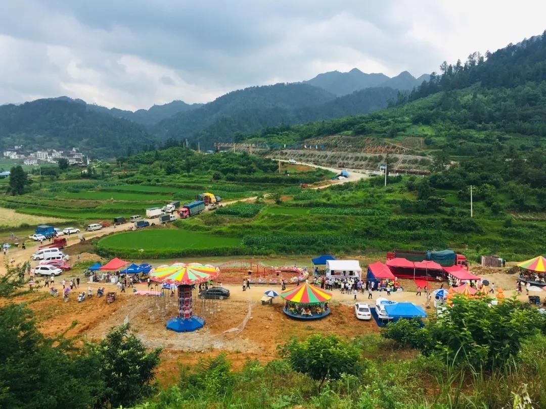 羊安杨梅节直播,羊安杨梅采摘