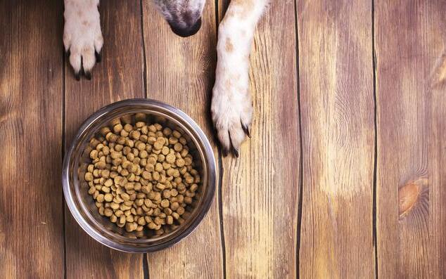 素力高狗粮怎么样,豆柴和素力高狗粮哪个更好