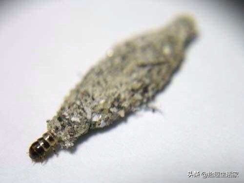 在家里衣柜发现暗门,在衣柜里发现什么东西