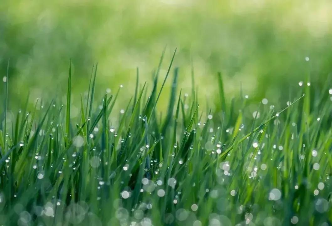 11月21日早安心语正能量句子,2021年早安心语正能量一句话