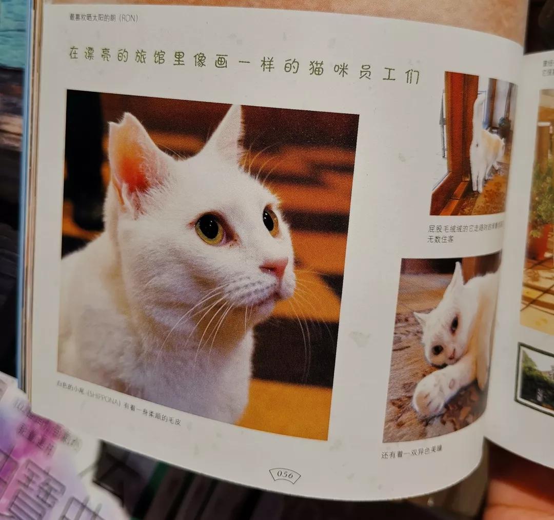 涔﹀簵娣卞湷璇氬搧,璇氬搧涔﹀簵娣卞湷