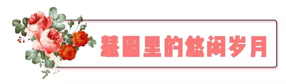 慧园里，南京城中，时光交错的角落