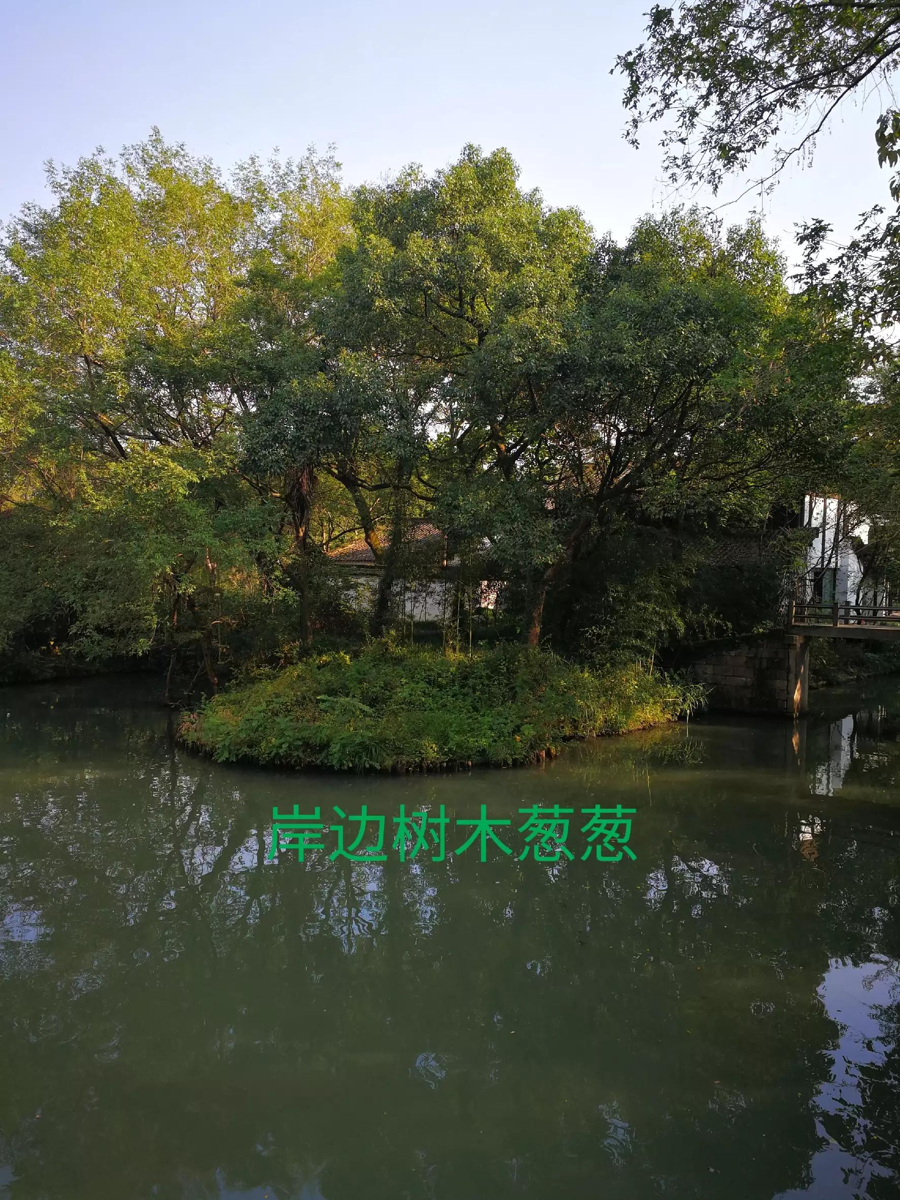 游览杭州西溪湿地,荡漾在四通八达的河道上,沁人心脾,一起看看