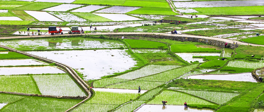 清明节是怎么来的习俗又有哪些,清明节的习俗都有哪些呢