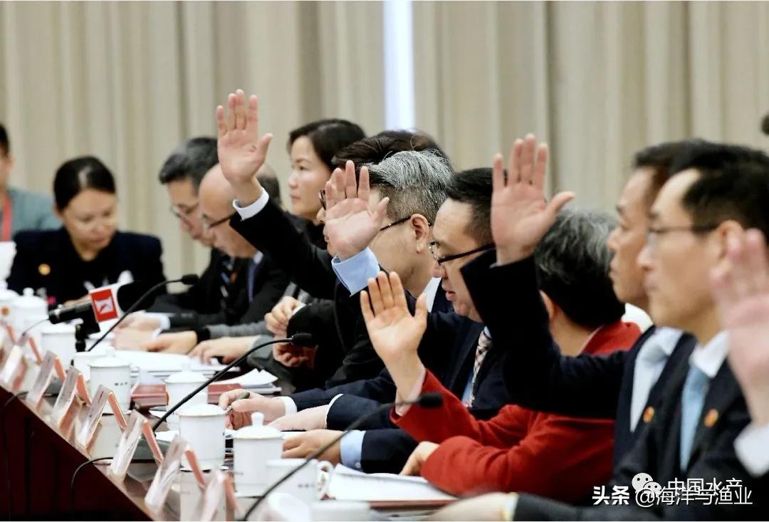 涉外法治人才培养的现实需求,我国对涉外法治人才的需求