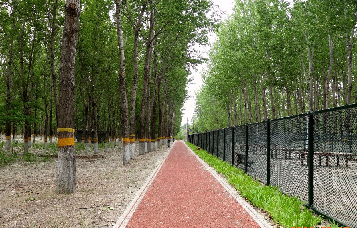 顺义滨河森林公园景观,顺义新城滨河森林公园抖音团购