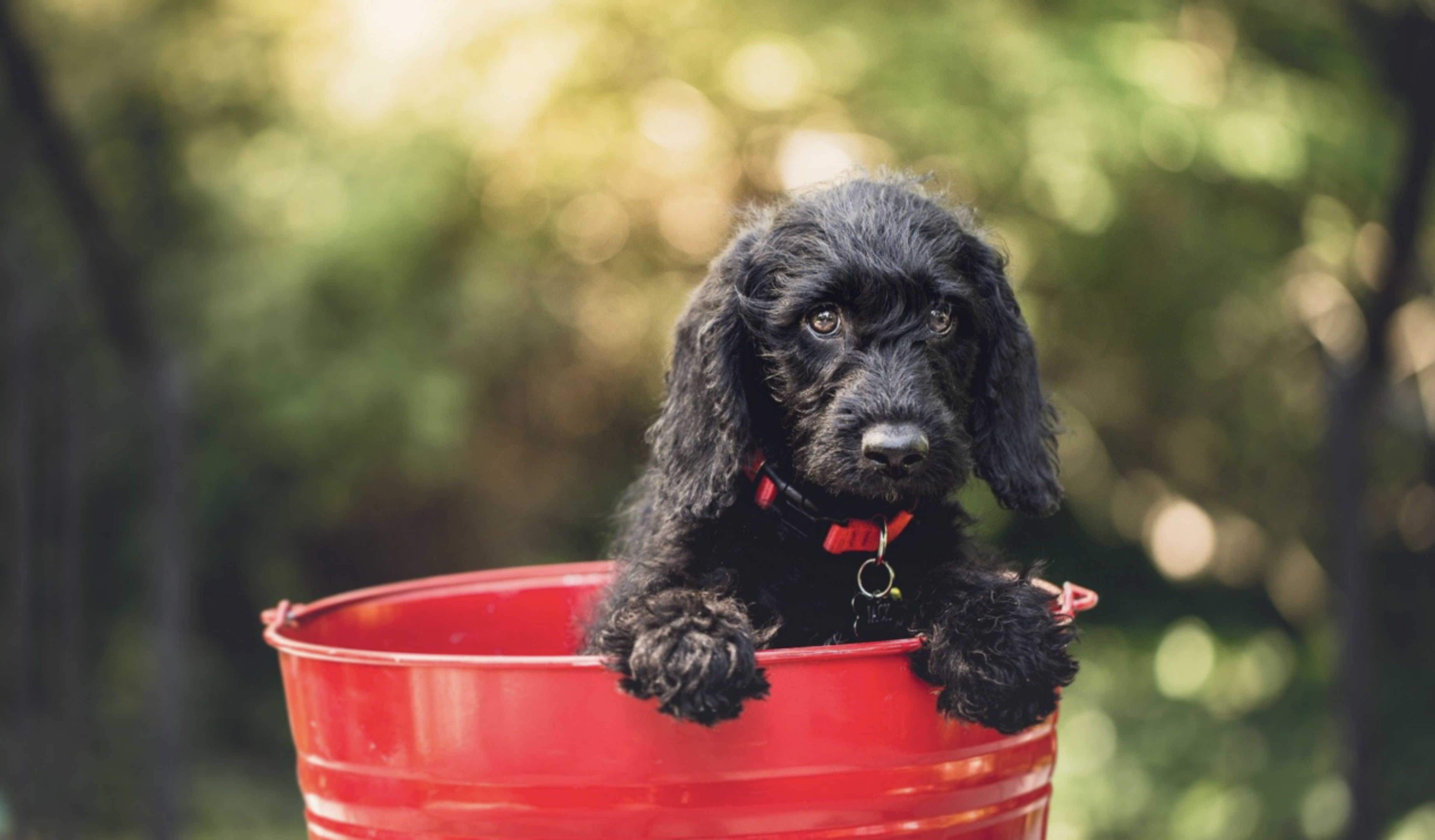 怎么快速提高旺旺满意度,如何群发旺旺消息给已购买的顾客