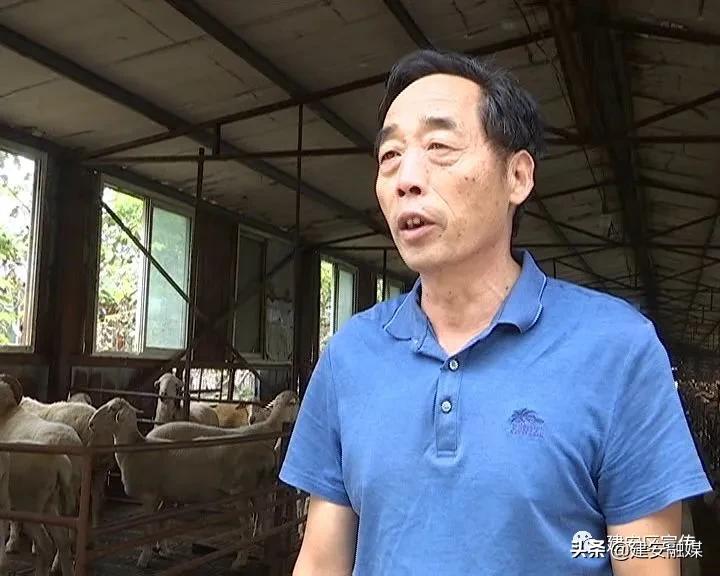 田园农场生态农业发展,许昌果牧香家庭农场