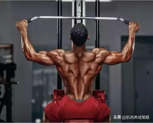 肌酸健身补剂的功效,肌酸是锻炼的必需品吗