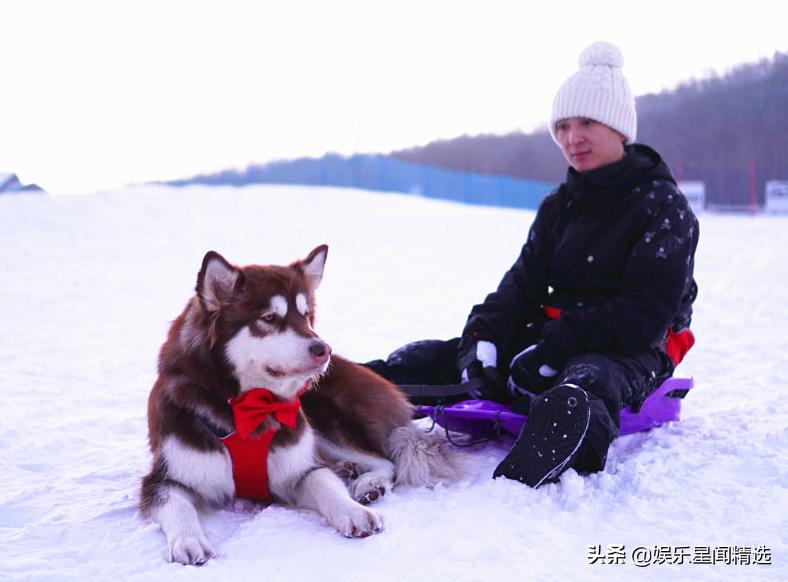 撞脸汪小菲的熊猫游戏主播把王思聪告限高了？370万是不是大数目