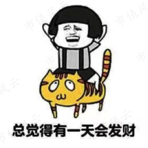 康力电梯最新持股消息,康力电梯上市板块