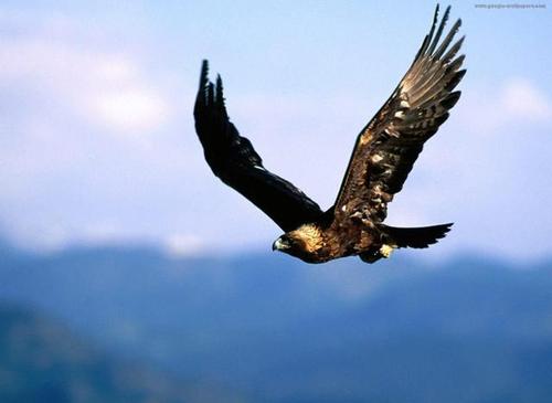 书山有路,莫让年华虚度——与我初一的学弟学妹们说说心里话