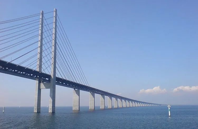 野心彻底暴露完整版,野心曝光