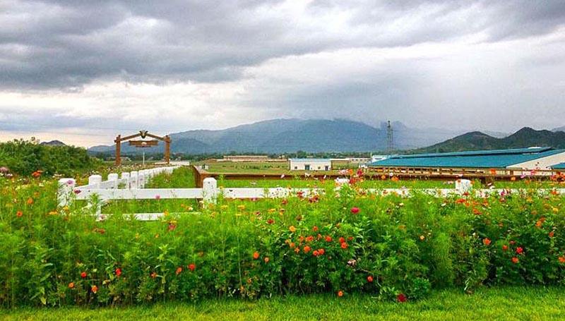 石家庄市滹沱河生态旅游景区,石家庄5a旅游景区名单最新