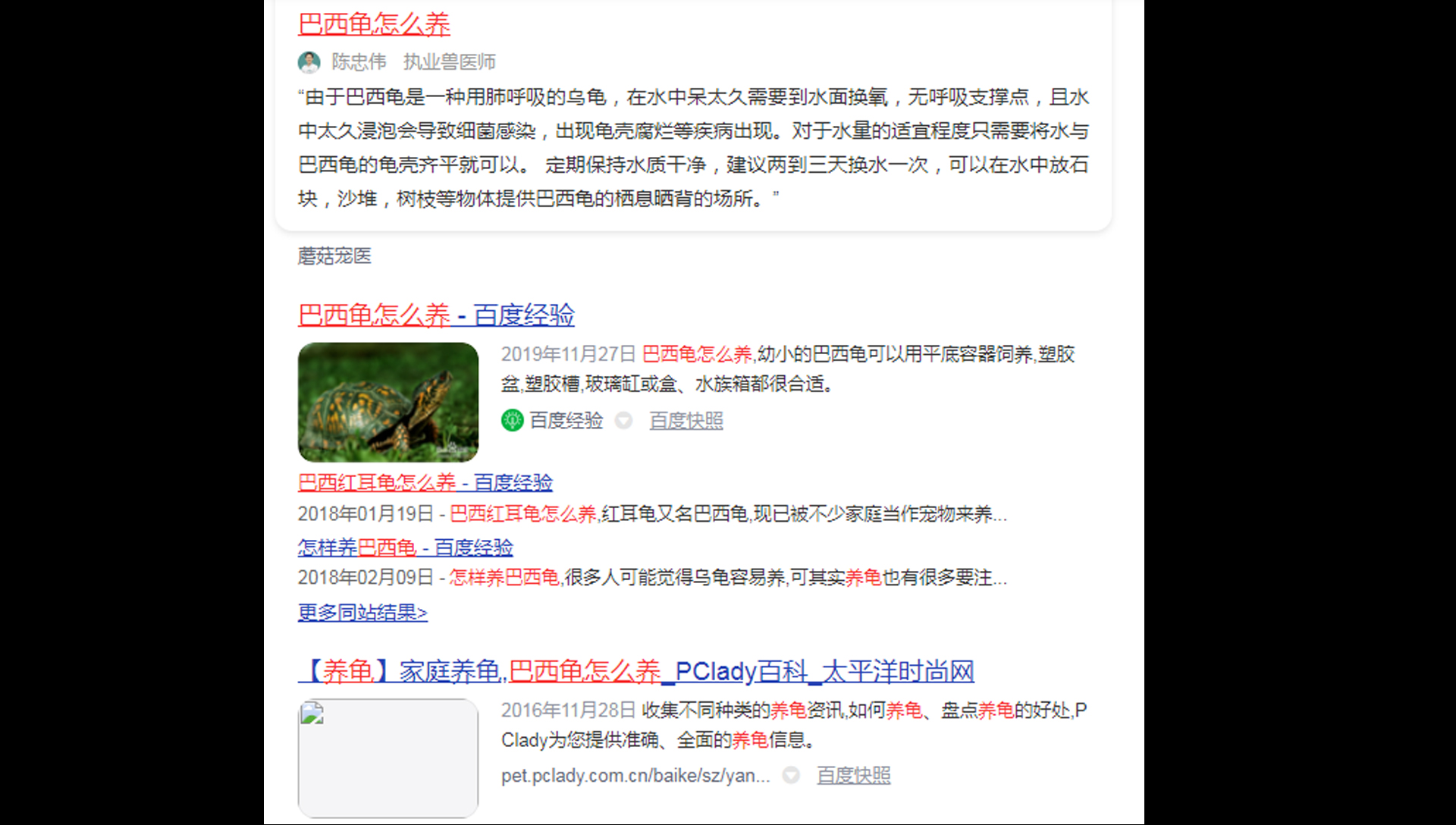 幼年巴西龟图片大全可爱版,巴西龟小时候最可爱的模样