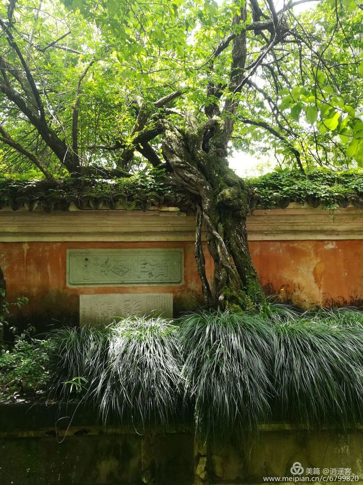 台州天台山国清寺要门票吗,天台山国清寺旅游攻略