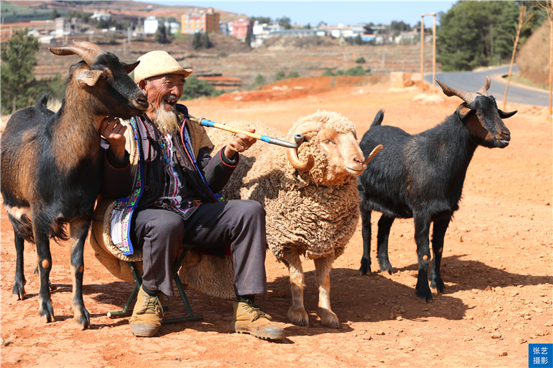 云南红土地共有几个景点,最美云南之东川红土地