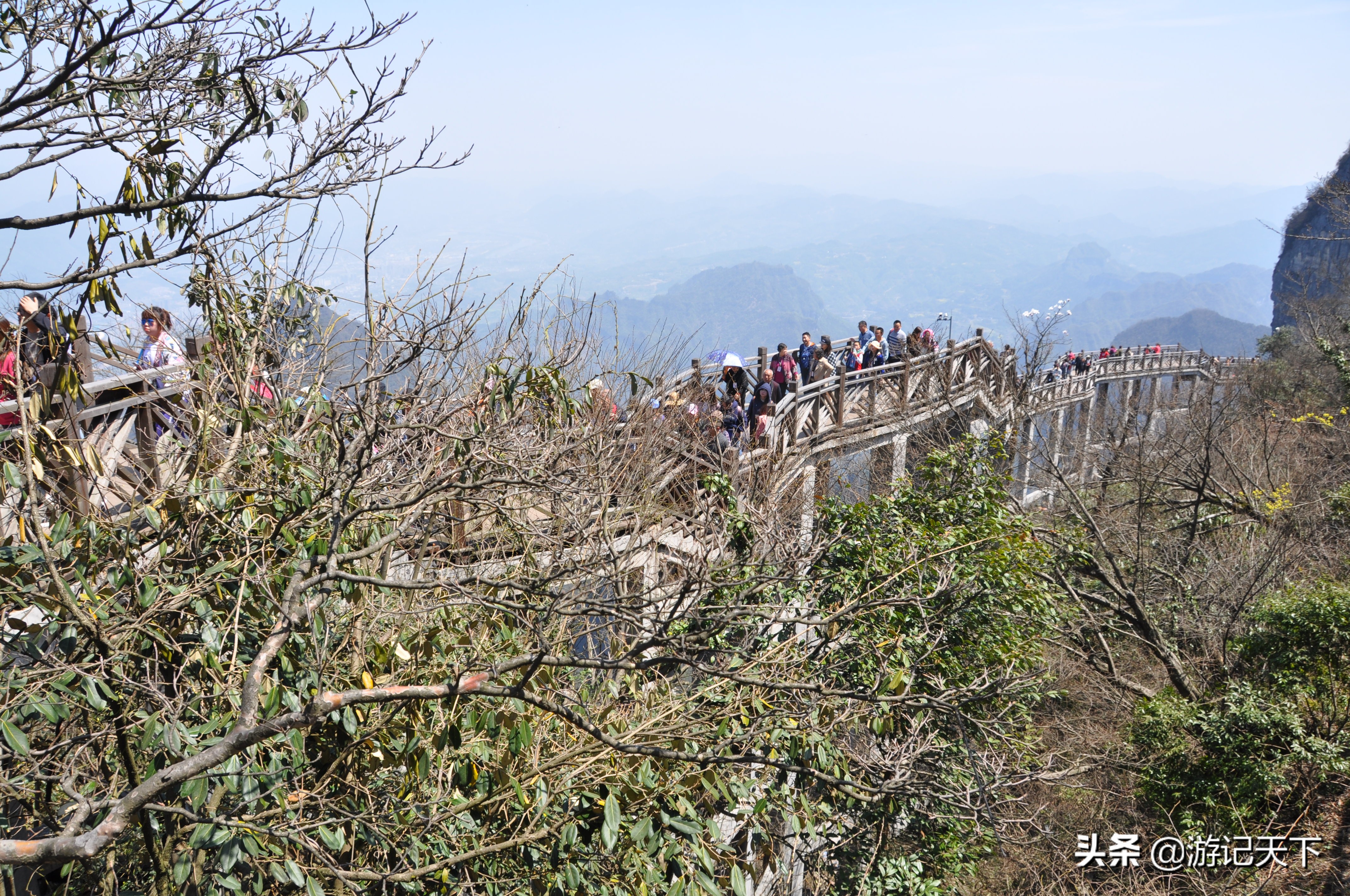 世界奇观张家界,世界奇观奇景