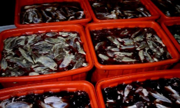 芜湖马义兴牛肉,马义兴卤牛肉