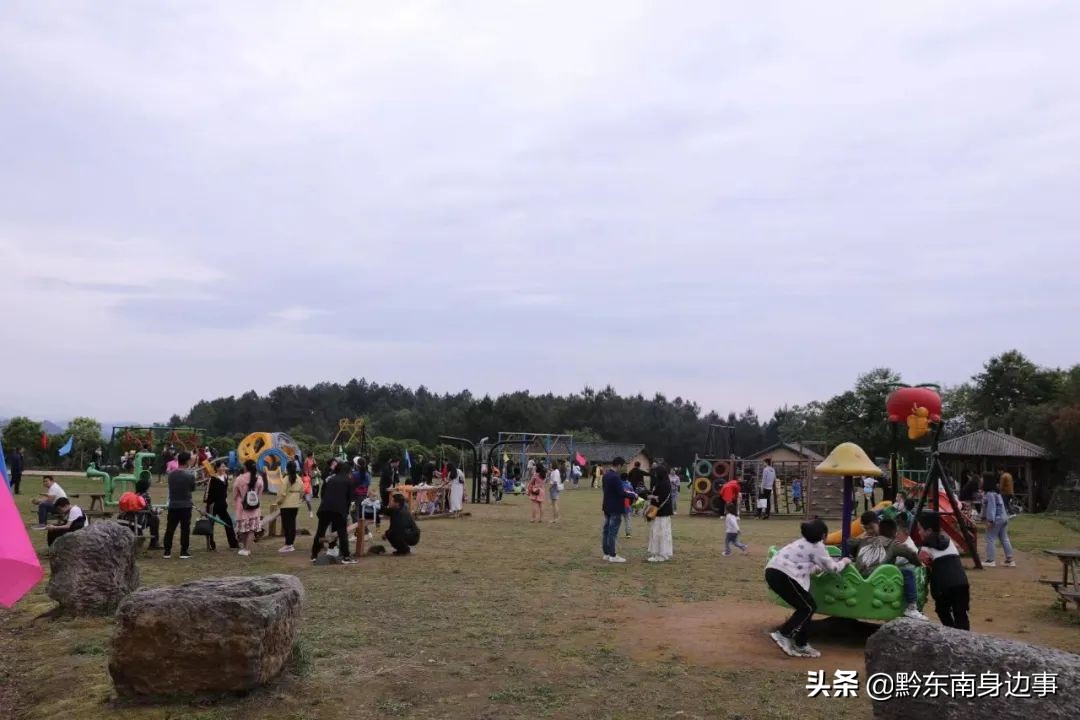 城市森林旅游景点推荐,都市森林王国游玩攻略