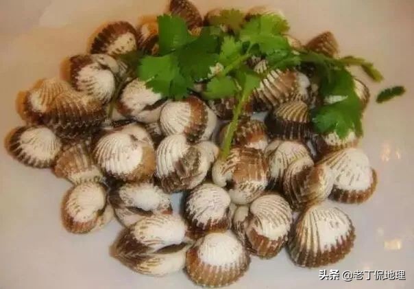 中国海鲜地图,中国海鲜最多地区