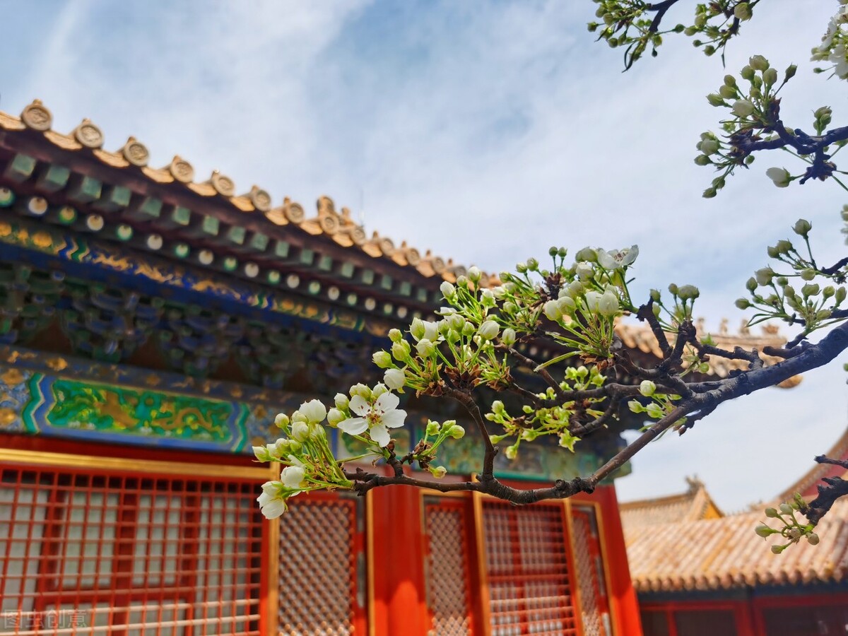 慈禧和丽嫔,慈禧太后怎么处置丽妃