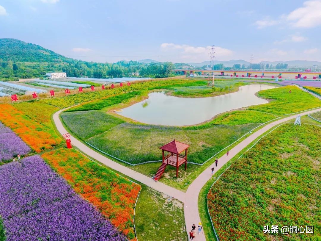 铜山，你还想怎么样